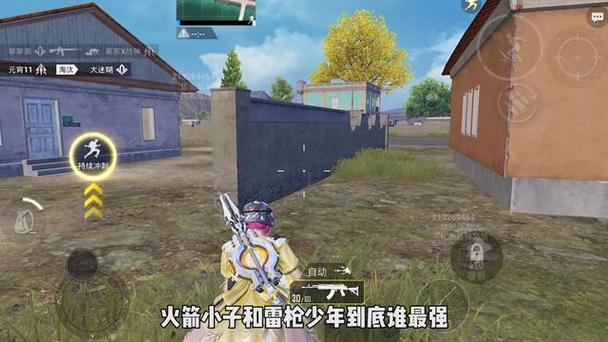 火焰鸟直装下载 - 和平精英热门科技辅助版本